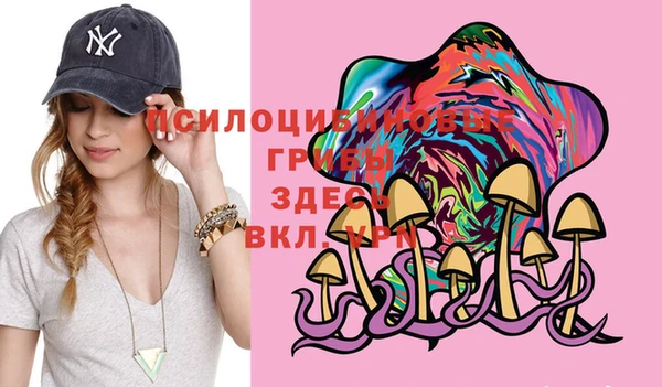 шишки Балахна