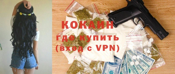 шишки Балахна
