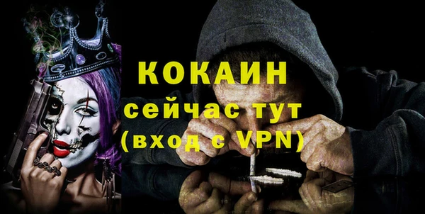 шишки Балахна